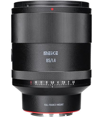 Tokina AF 12-24mm F/4 at-X 124 Pro DX II Zoom Lens for Nikon DSLR